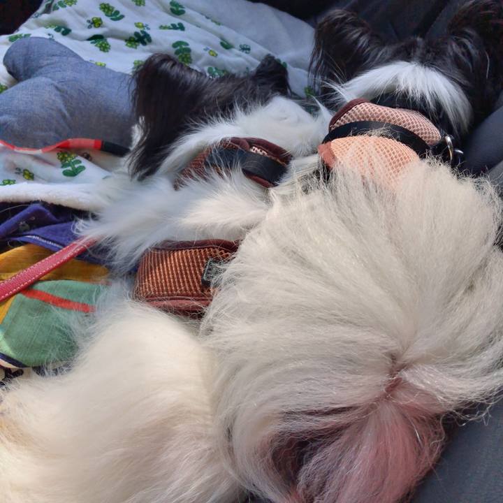 34358460 88c2 4074 9ad5 f704aecc3c3b 1534661131834