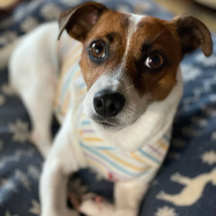 34358810 7c4e 4ace 8c6e 589f6c0338fe 1625365143319