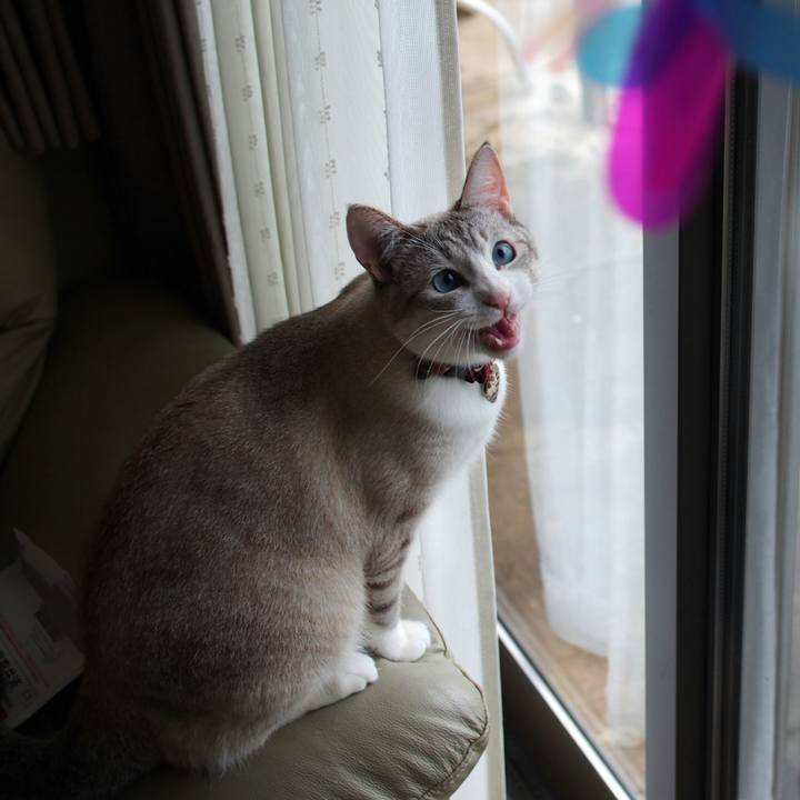 343596f0 52cc 4b78 a35c 6f766c8cb9c9 1528633465916