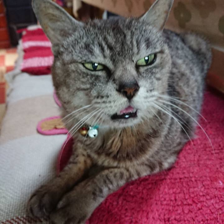 3435cdb7 556a 458a 8f4f 154acb254f41 1564443923623