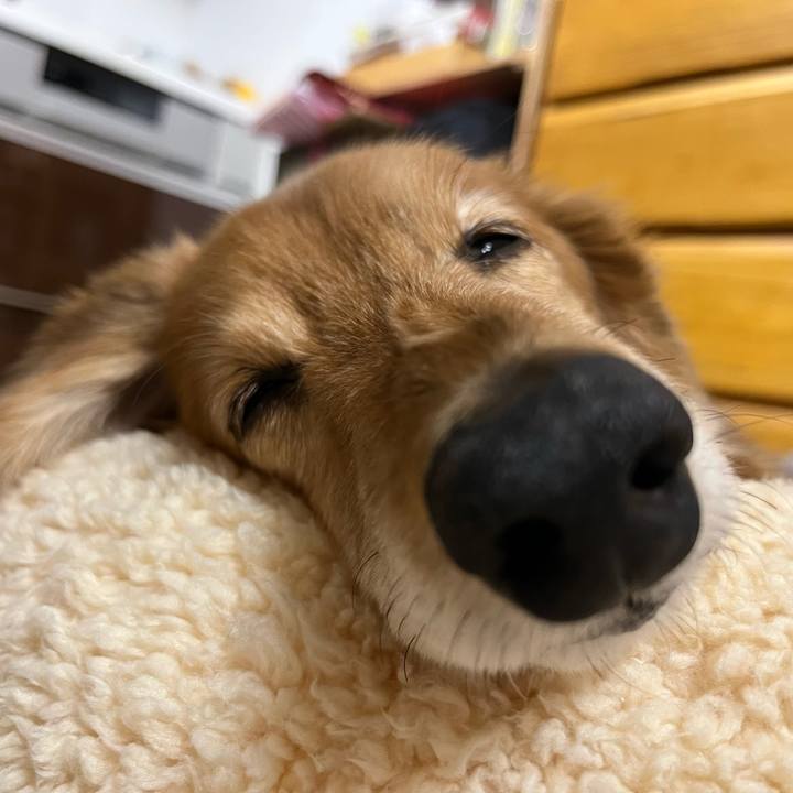 3435e7e1 2a37 4cbf 8fc0 392821a23ddf 1642833027558