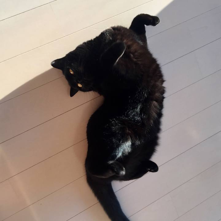 3435f3ad 26b2 49ad be92 b32b5e3811e6 1579306063679