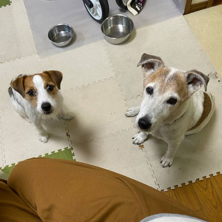 34366c45 5a8f 4aff b072 98987b697310 1633645058811