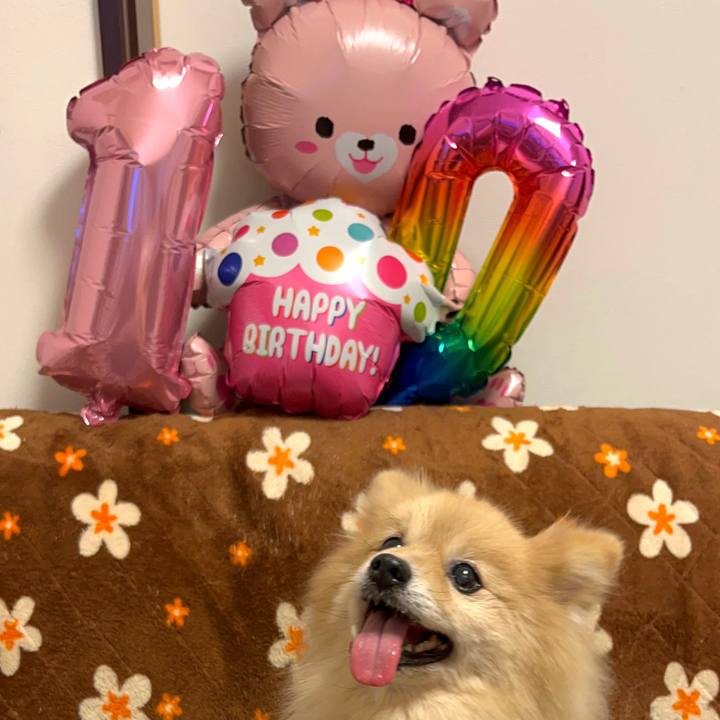 343689c6 a057 4b81 9064 ff1898f79591 1675867277269