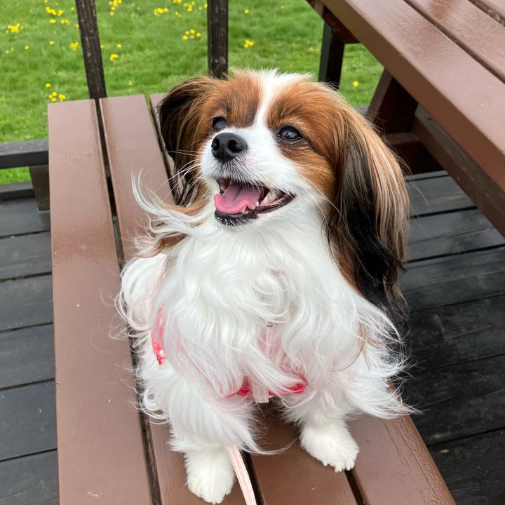 3436a3d2 98bc 4634 a502 4453617a8ae5 1715499316156