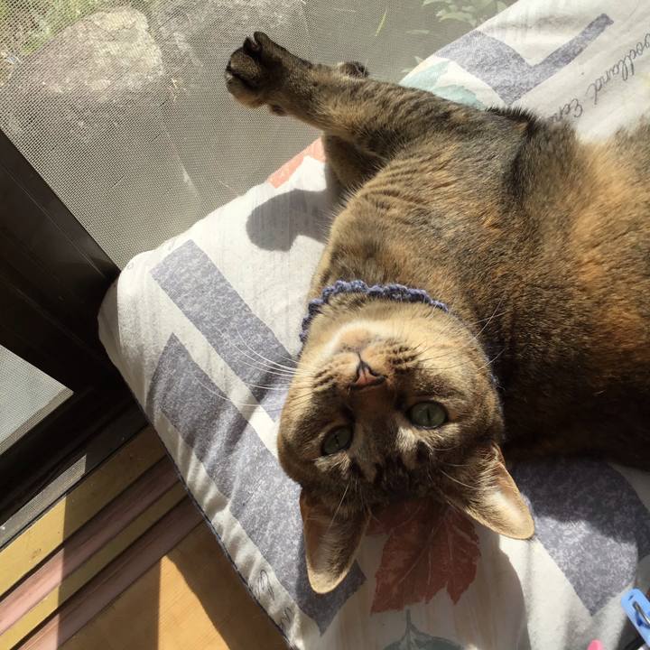 3436c84e 7753 4b72 abcd 3bde1cf31f57 1616809031873