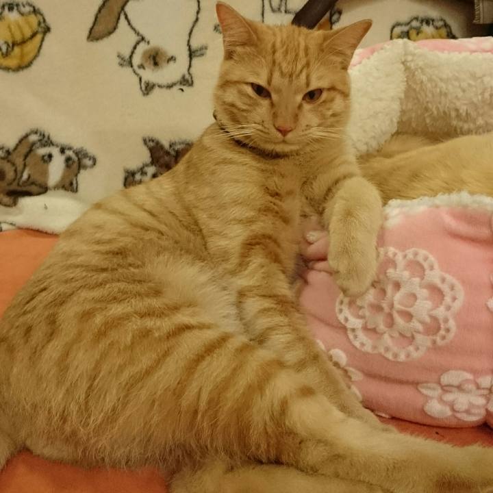 3436ef30 d5da 401a 8844 bcaae8a80350 1552995616369