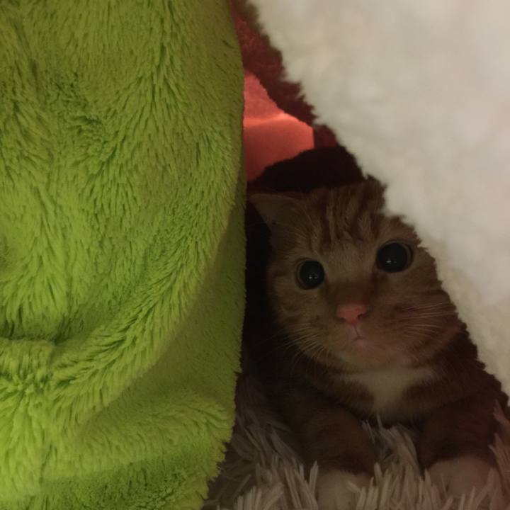 3436ef31 7fbd 496a 8aff 9a14cb1c9c28 1510396155489