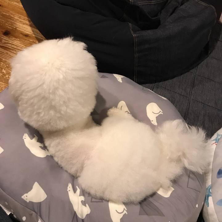 34371712 ee2a 4824 adce ffd26a848b2e 1567772958134