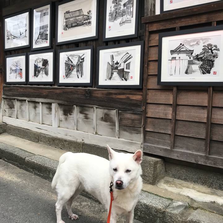 34372d1c 8b6c 4070 929b cb3c7a00ad40 1526820907315