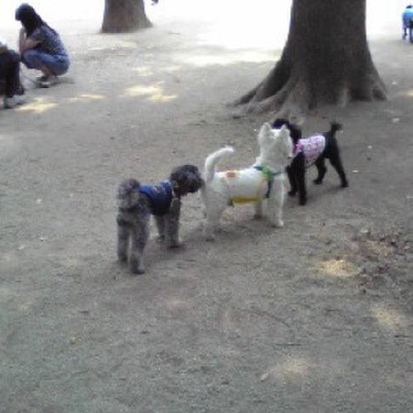 34375962 3696 47f1 8aa8 37a833c13937 1693959103374