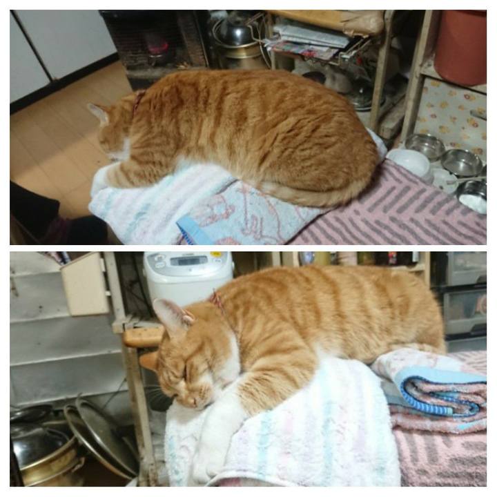 34375cf8 be59 4dfe 9a1d c6dbbad86ddb 1607759096704