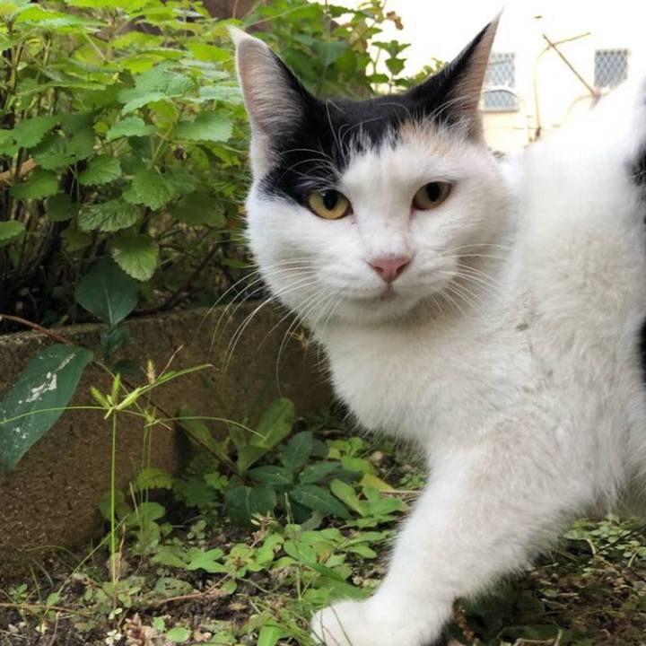 34379502 4bce 4d27 b4fd 852be625deba 1636878489989