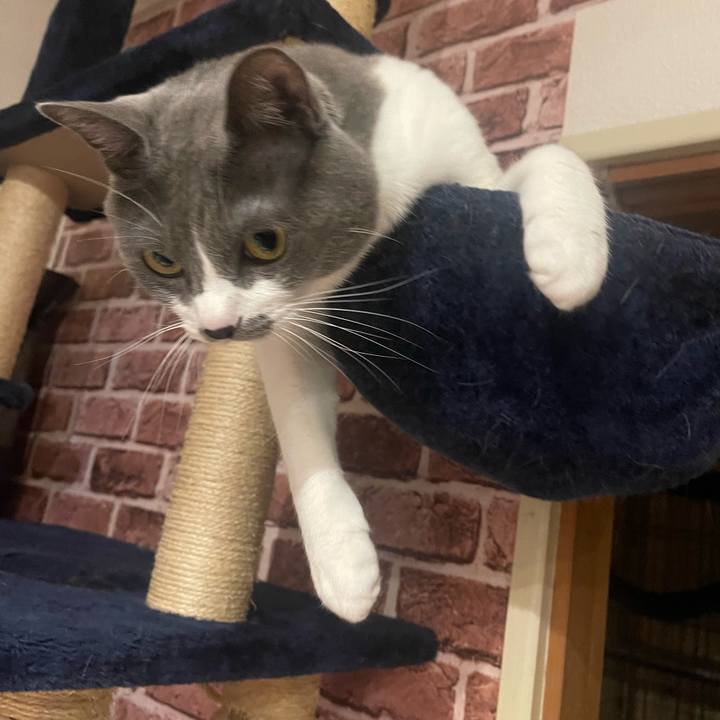 34379bd6 6da3 4301 ab84 9ce05b2cd43b 1669043871352