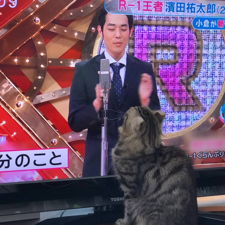 3437b12b f7e9 4aa7 a4c0 93939ae46738 1520386882667