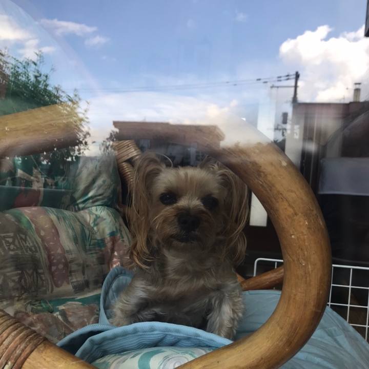 3437b60b 9c5c 4dbb a833 9c5f932b1f60 1594463560203