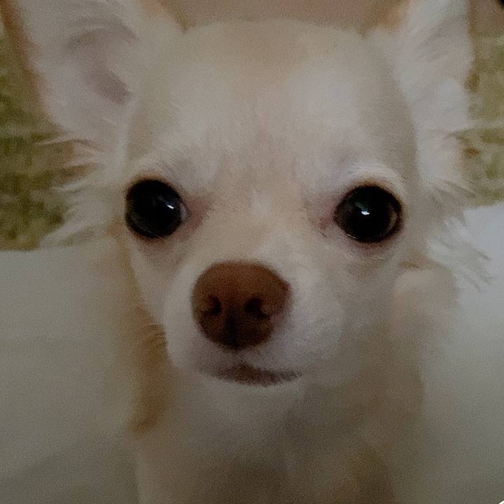 343819e5 56d9 4504 b627 f181bf9ddc48 1601672256512