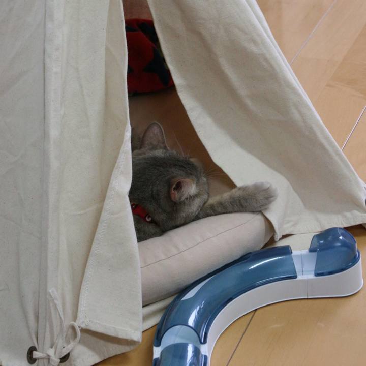 34383572 8456 4c82 b965 f2983ed42ebb 1542003012010