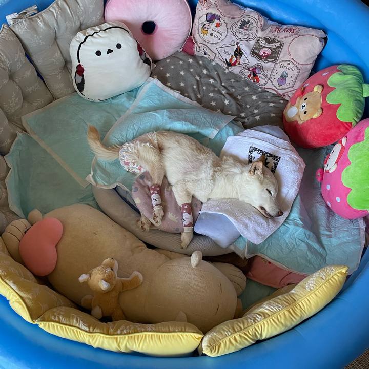 34386922 dfca 4e76 b2fa d9378641ebc0 1683604810123