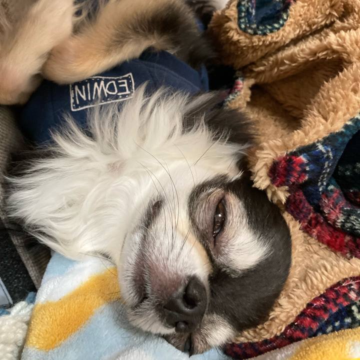 343882af ae63 476f 81b5 379eafec4983 1677163058960