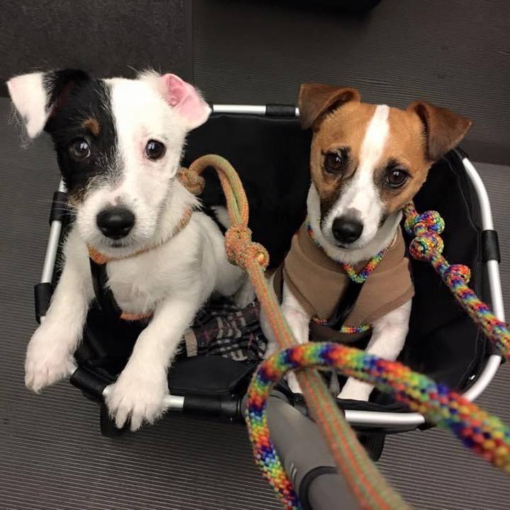 3438acb9 3176 431e 9136 3443be9937b2 1614610970468