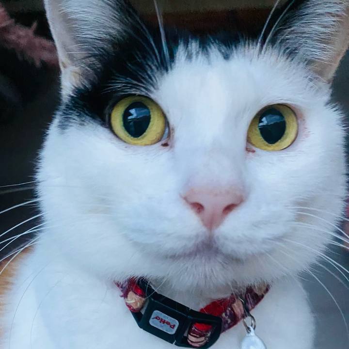 3438b7fc 36b7 4053 9360 d625bce7e2da 1669414751401