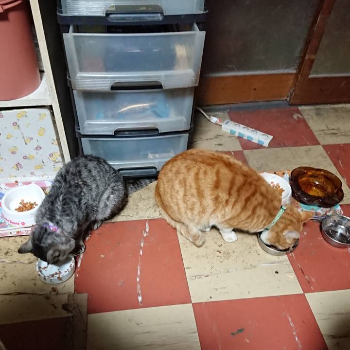 3438da72 a087 4816 94ef 9138676ce872 1583526762928