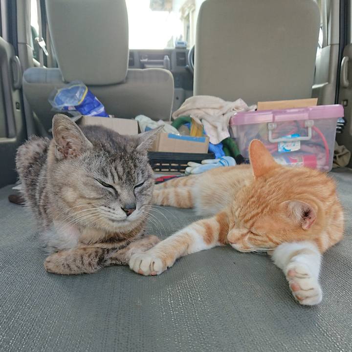 3438e570 e6e0 48ce a9d4 ca484972017e 1593247381783