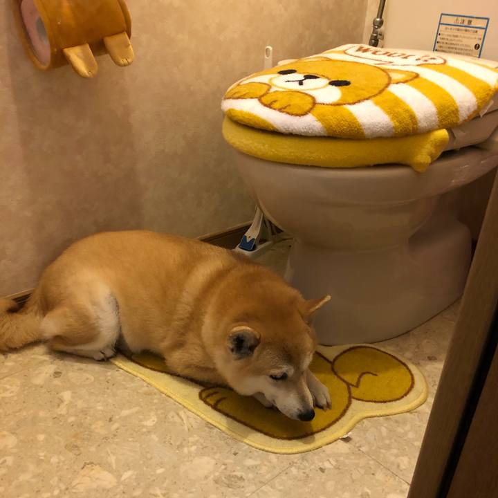 34393c94 eb5e 412d 87f9 2022dd520c93 1560583110417