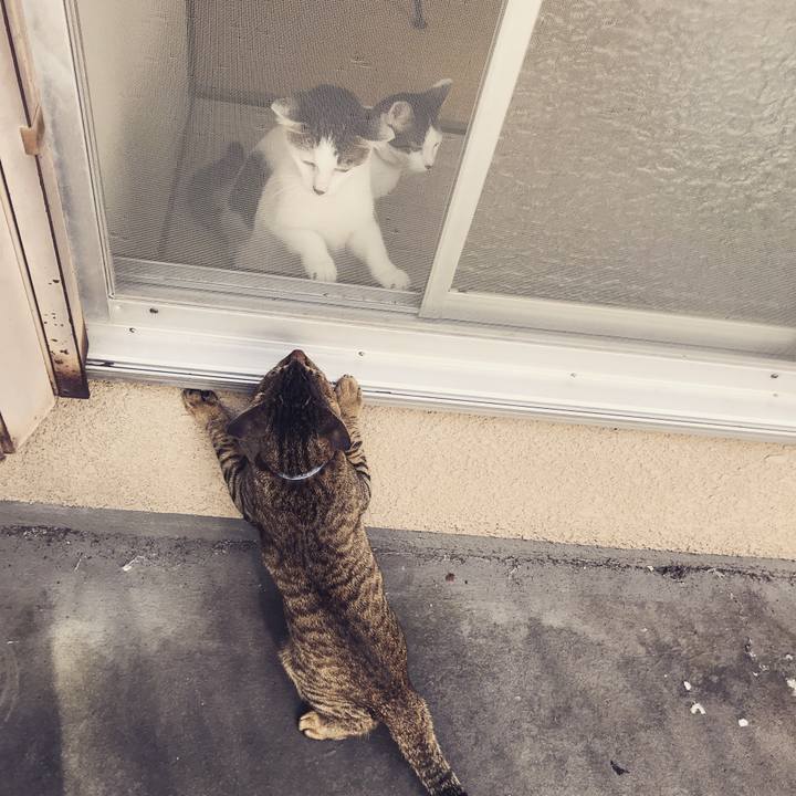 3439c1ab 5375 44fe 88fc efbf0a33f660 1541119755129