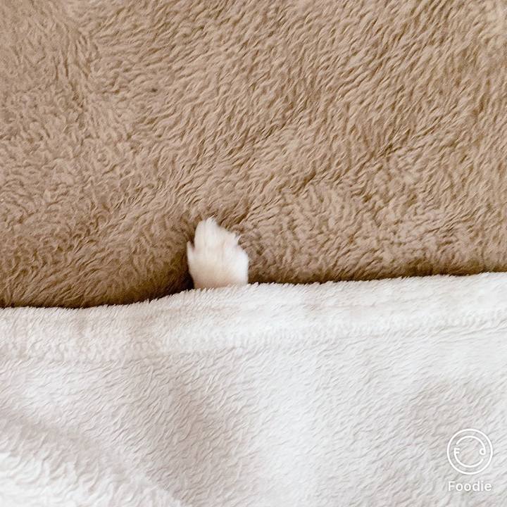 3439cc63 ccb0 49ea 93d9 dcef1f297f6a 1594177624213