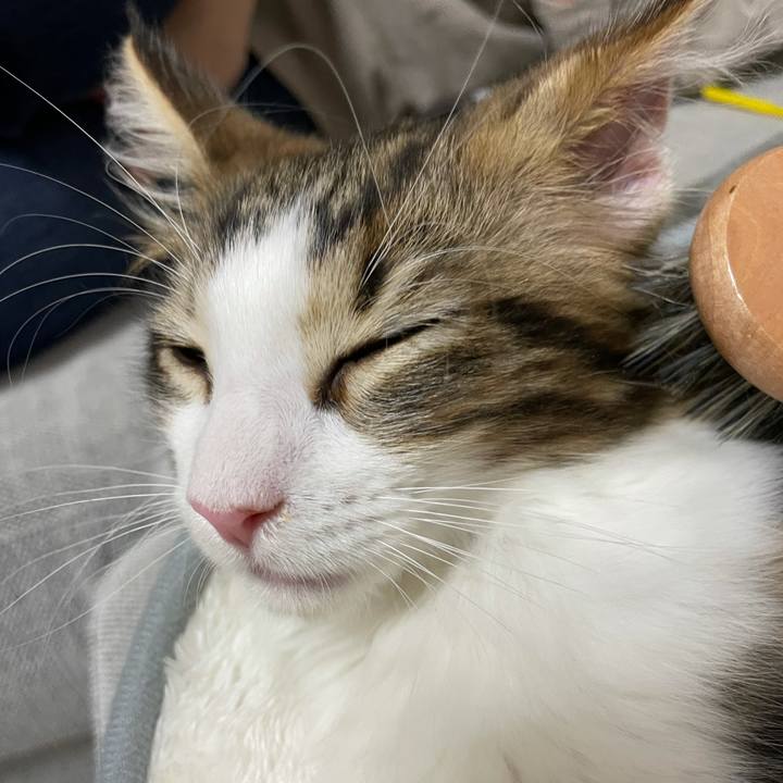 3439e542 564b 4fc3 8996 cbceea4ac3c1 1632913865341