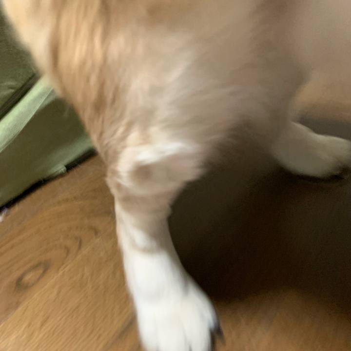 343a07af bf58 414b 865f 88a0dcfe8abd 1651579846311