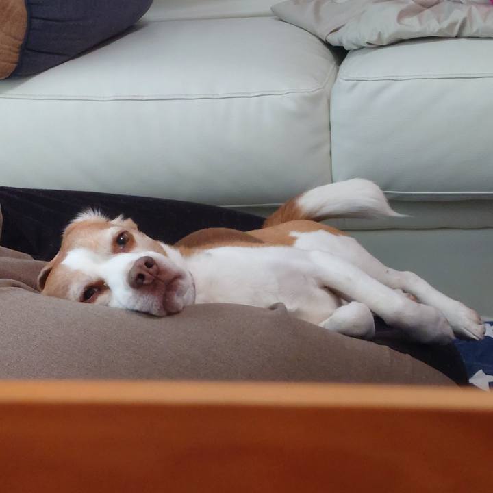 343a13b3 ffb6 4375 ae0f 347837d75f32 1742356632274