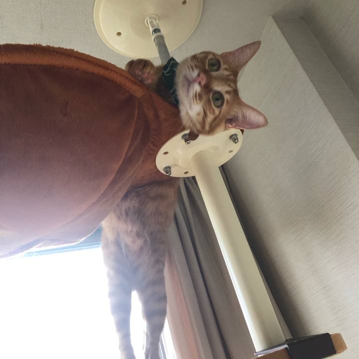 343a1603 5256 4256 982e 6435a01b217b 1630897222963