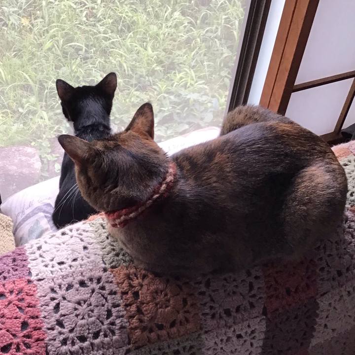 343a1b94 6008 4997 8f25 e030d907ab20 1631607627675