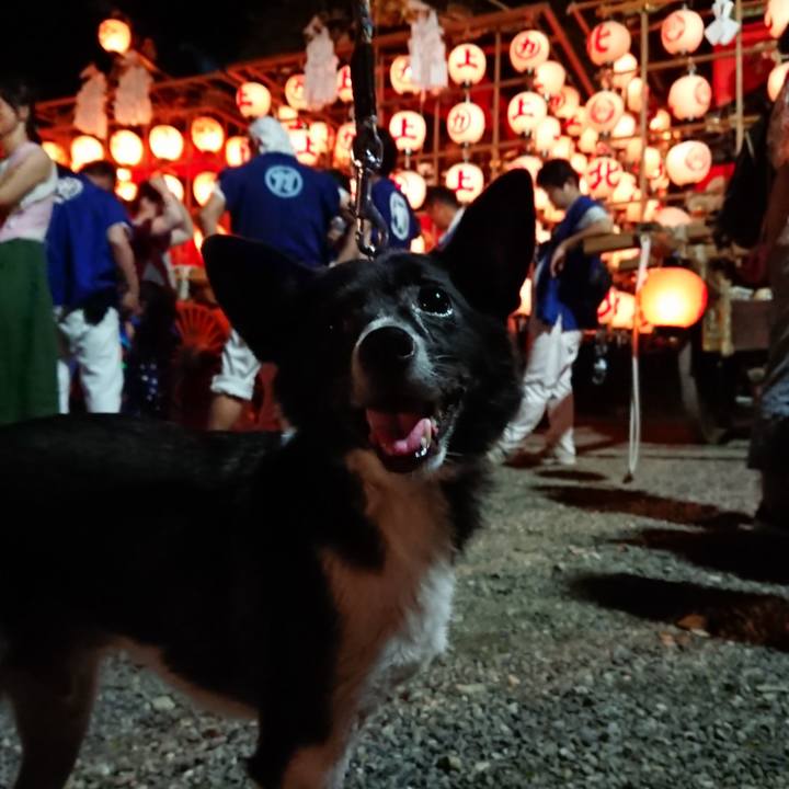 343a3844 14dd 40bc 93d3 12c2542f1f5d 1564831239180