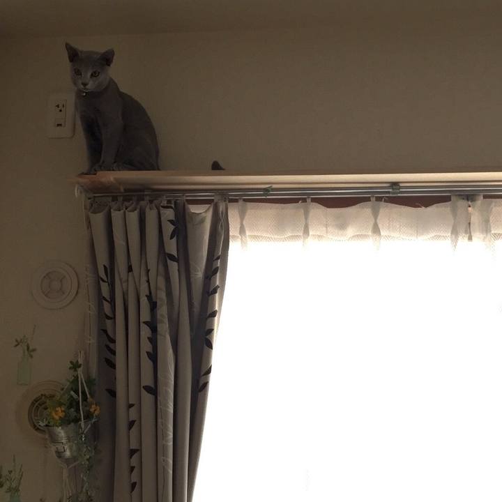 343a45e6 9cc1 4fbe ab3b da391cc001b2 1509721929796