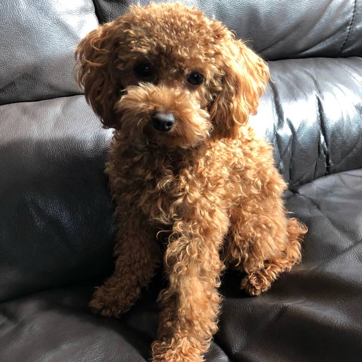 343a4fdb f689 4aaf 9ef0 57177f4e344f 1513401777188