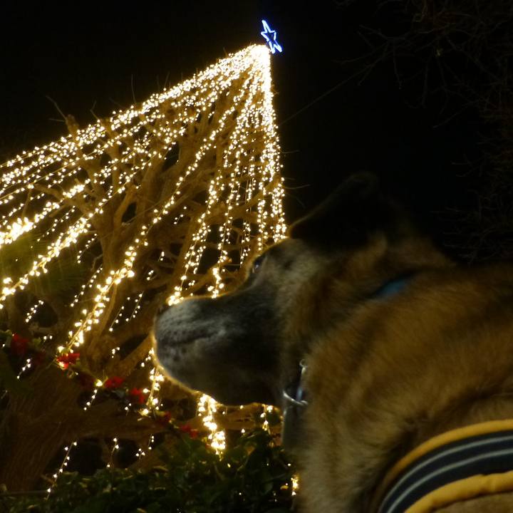 343a90ad f66d 4389 bf02 de3e0065b5b8 1581125113812