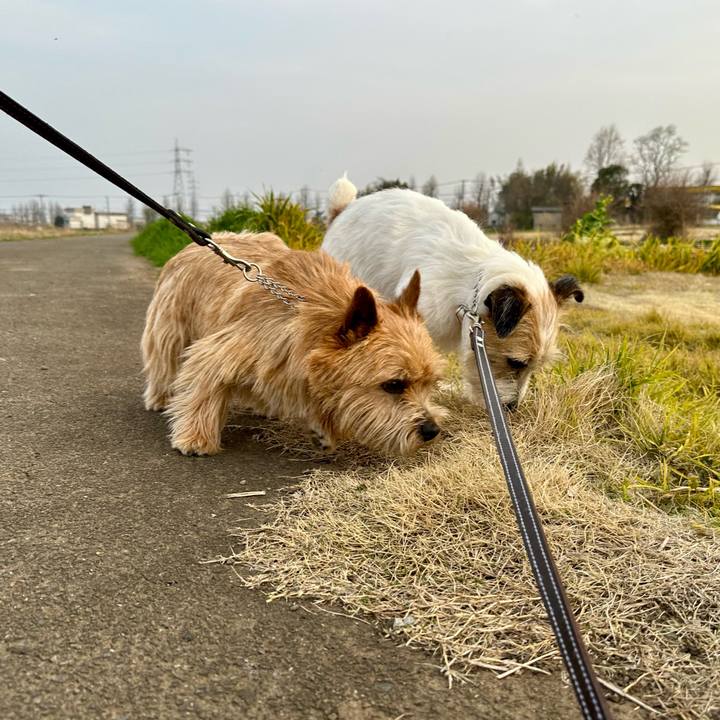 343aabe0 5c78 4f1c ba22 9a51639e2135 1743109969339