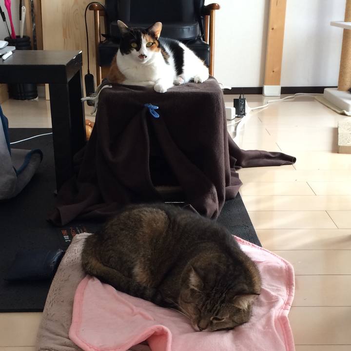 343b194a 481a 4076 9c25 e2593fdfacff 1609554344609