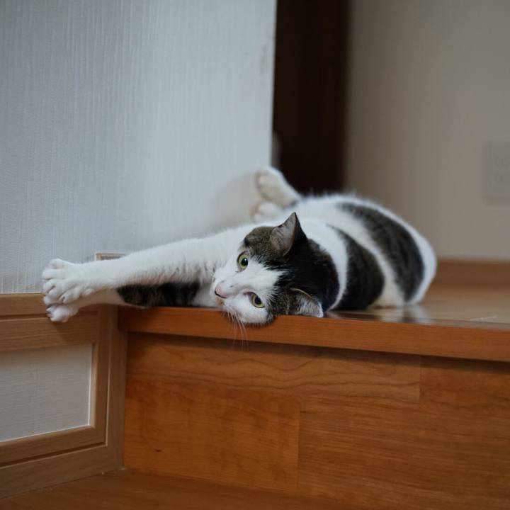 343b39c1 3477 4a49 8197 6b2c586525bb 1531785174330