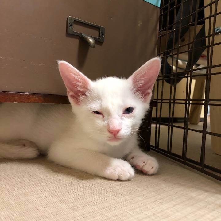 343b7fcb 097c 4444 8ba0 d1f9f097f813 1532789185524