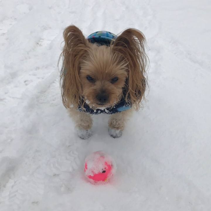 343bb489 0d60 44d2 988a db8b8206b7dd 1578994593669