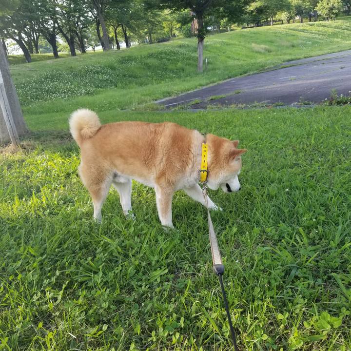 343bcef7 ca24 4314 acf8 f35fce0f8c9a 1687074963264