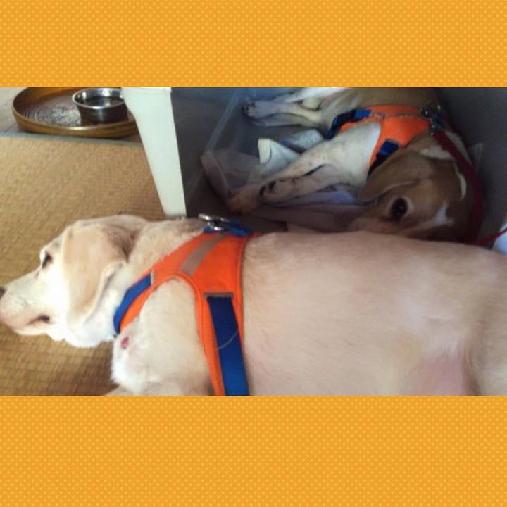 343bd2c4 ebe5 41f9 830f 7a27032507d9 1596334662899