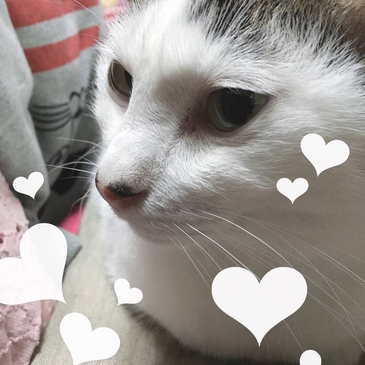 343bd887 da73 413a a2fe e5d19b4dfc38 1572616371722