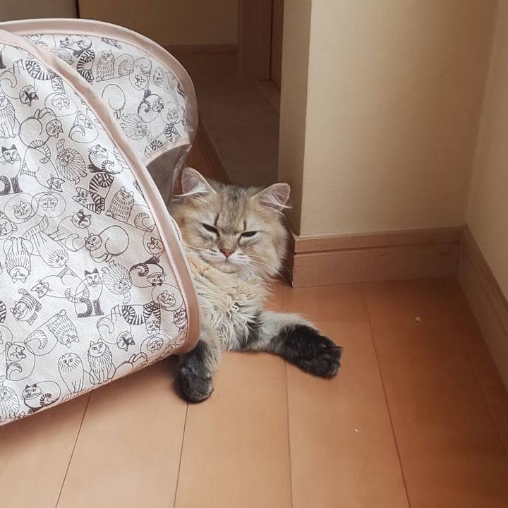 343be479 c1c1 4bf0 9ad9 79aa1b382125 1562562159670