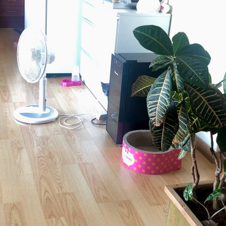 343bebf4 0006 49a5 a58b a56f4d9a90af 1599873249099